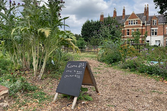 Brixton Orchard has become a haven for bees and beetles.