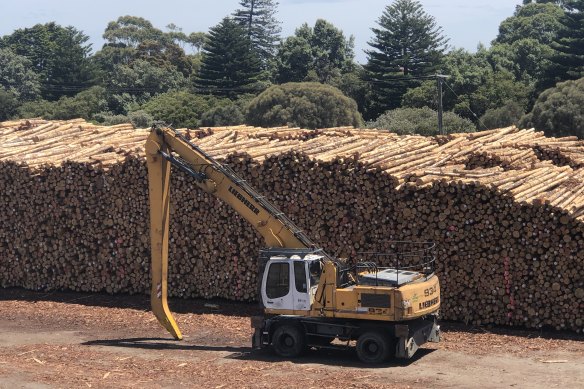 Timber is stacking up in Portland after China banned Australian log imports.