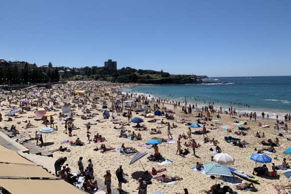Crowds on Coogee Beach in Sydney’s eastern suburbs.
