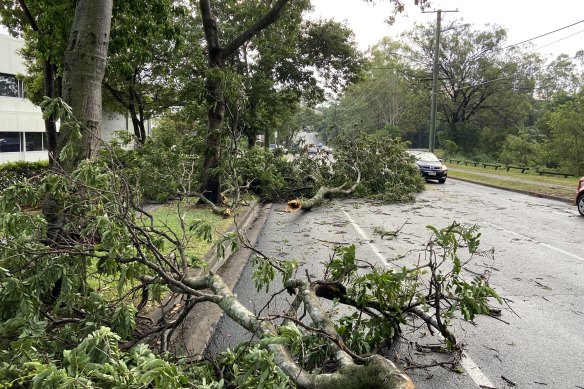 A huge storm that ripped through Brisbane’s south has left fallen trees in its path.