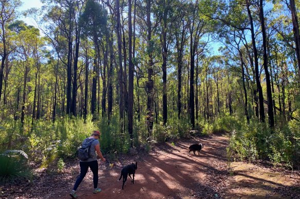 The information downloaded means bushwalkers don’t risk getting lost if they lose phone connection.