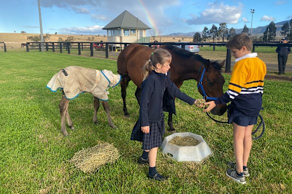 Atlantic Jewel's new foal already has a new foster mother.