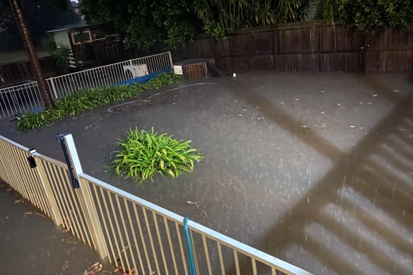 Alison Casey’s backyard on O’Conner Street in Haberfield, which disappeared under water in the recent storms.