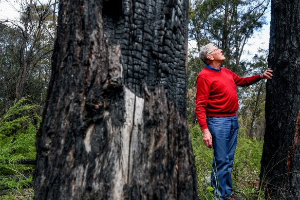 Former CSIRO bushfire researcher David Packham, who is one of a group of residents lobbying for more planned burns.
