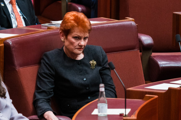 One Nation senator Pauline Hanson in the Senate.