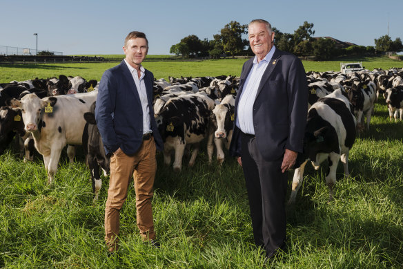 Tony Perich, right, and his son Mark at their large dairy farm near Western Sydney Airport.