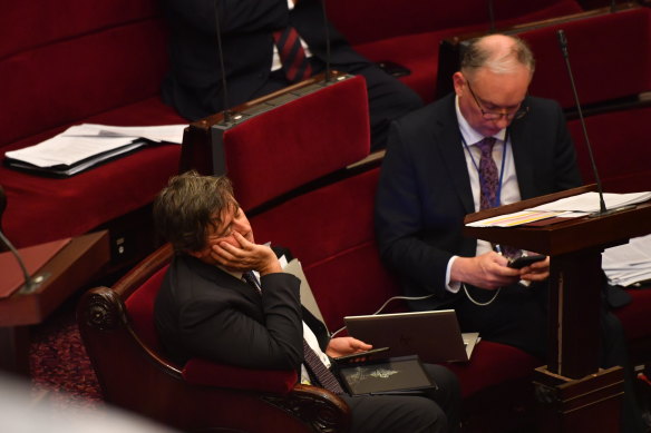 Fatigue sets in as upper house MPs, including Liberal Democrat Tim Quilty, debate Victoria’s contentious pandemic bill.