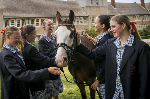 Equine Studies students at Toorak College with "Chip". The students, from left to right: Ginger Jilly, Claire Freeman, Hannah Shippen, Ella Smith and Amelie Melbourne.