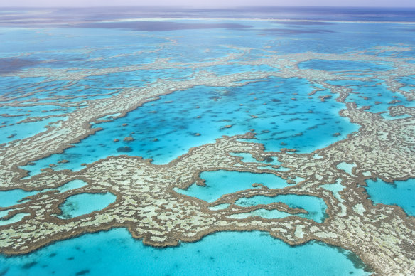 The Great Barrier Reef from the air.