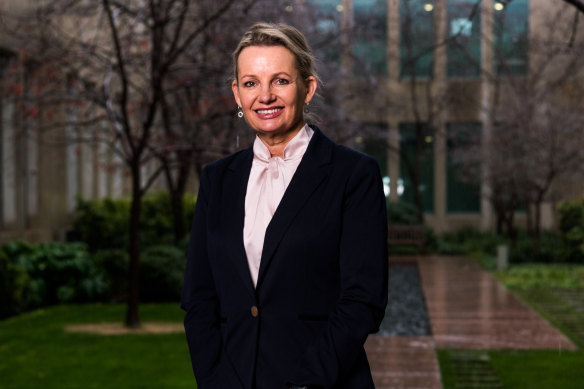 Sussan Ley was elected deputy leader of the Liberal Party this week.