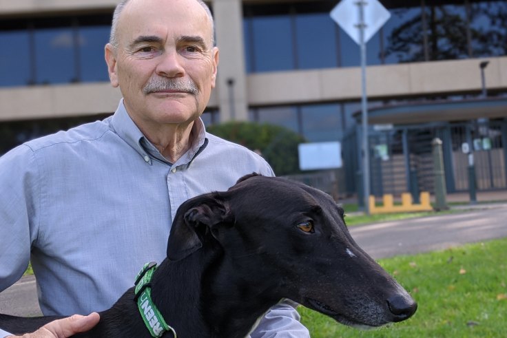 Greyhound trainers who harmed animals still racing amid record profits