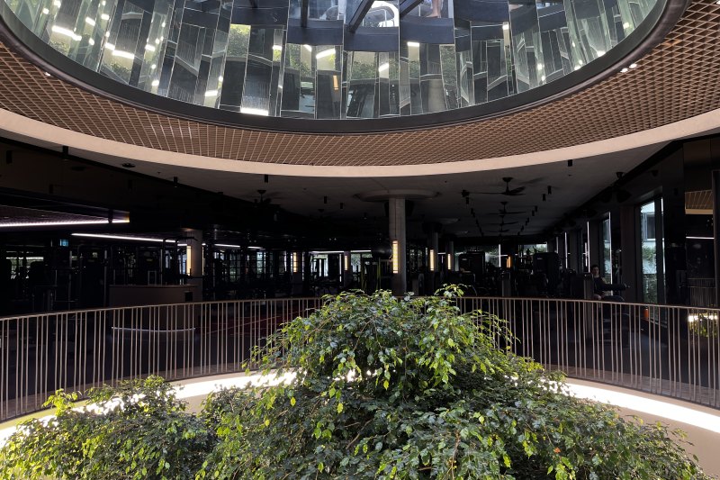 The iconic TotalFusion fig tree symbolises the “tree of life” – and oxygen, because we really need that.