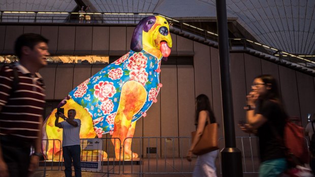 A lantern at the Opera House marks the start of the Year of the Dog.