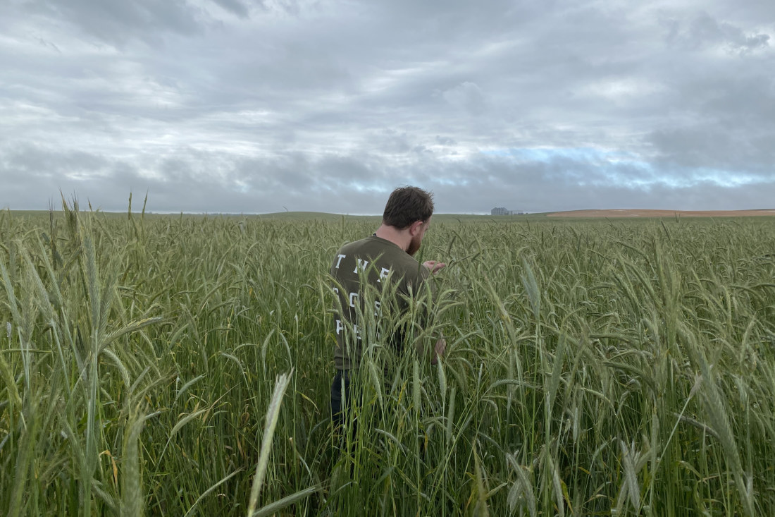 Rye team gives whiskey a distinctly Australian flavour