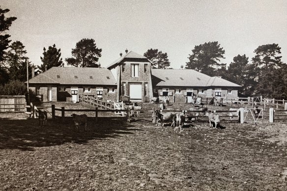 An archival image of the old dairy at Retford Park, which have been transformed into Ngununggula gallery.