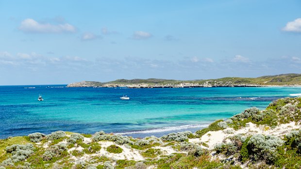 Pristine Salmon Bay is brimming with marine life.