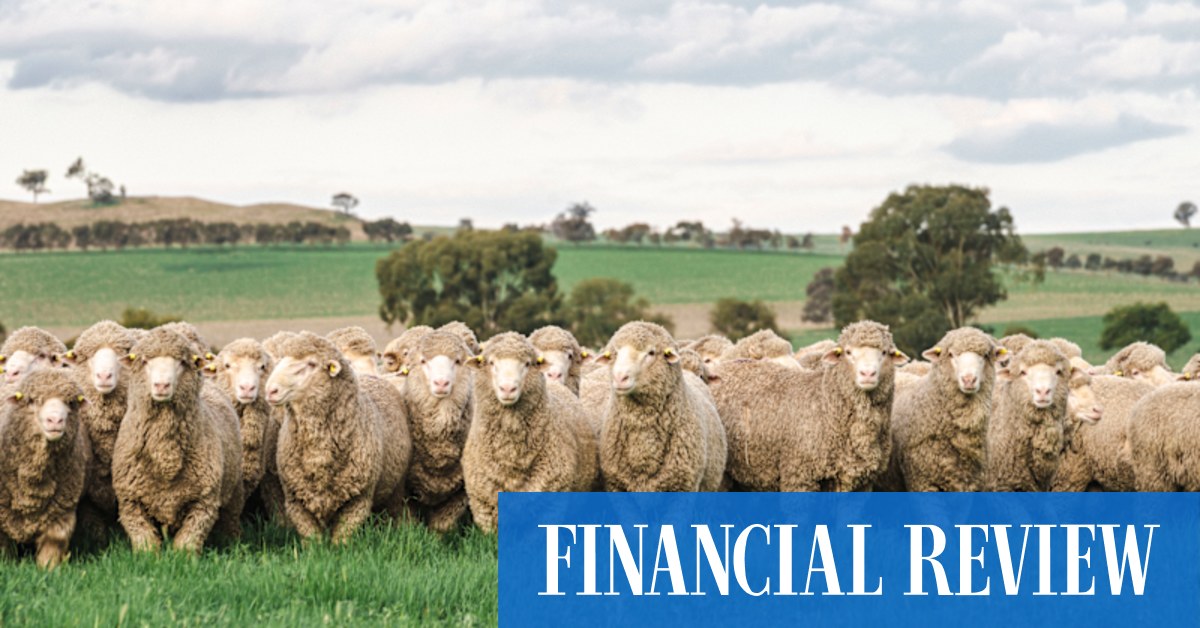 afr.com - Nick Lenaghan - Murdoch puts $20m prized sheep station on the market