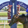 Race-by-race preview and tips for Hawkesbury on Sunday
