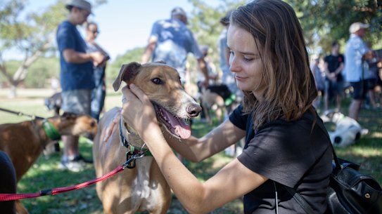 'They're the best breed of dog I've ever had'