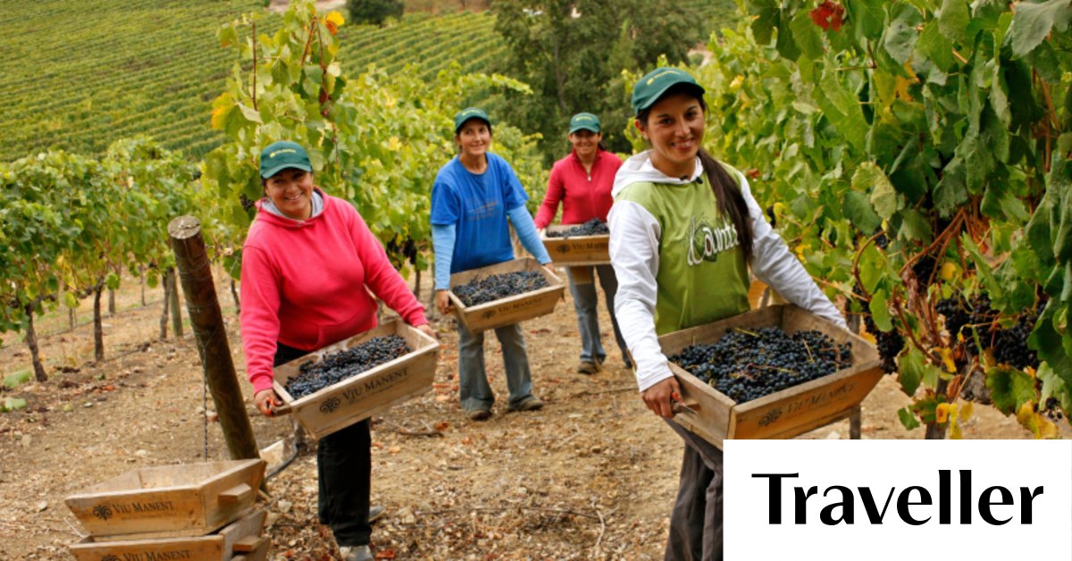 Ground-breaking winery aims to produce the best red wine in the world - Vimarsana News