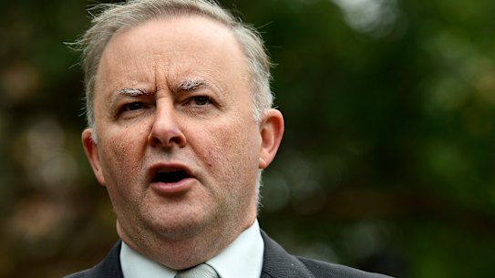 Labor leader Anthony Albanese. 