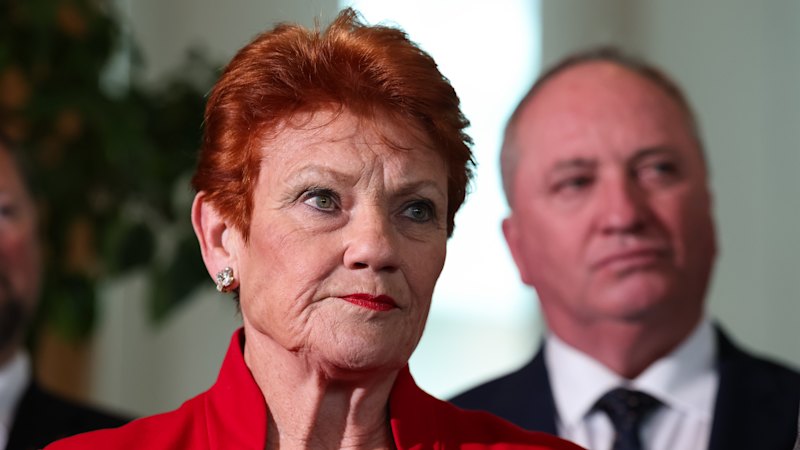 One Nation flip-flops on migration policy after visa numbers question