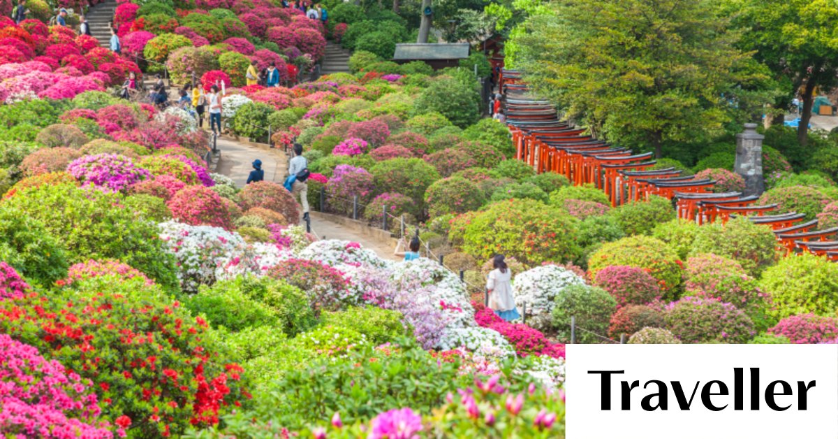ten-romantic-free-things-to-do-in-the-world-s-10-most-expensive-cities