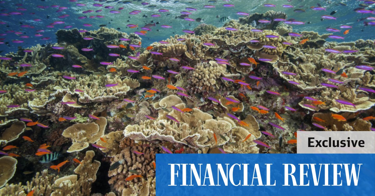 AECOM offers $1m in services to help Great Barrier Reef Foundation