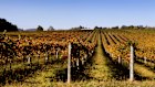 The shared vineyard ownership sprung from friendship rather than legal industry wheeling and dealing.
