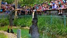 The Australian Reptile Park broke its visitor record on Sunday thanks to the Dine and Discover voucher scheme.