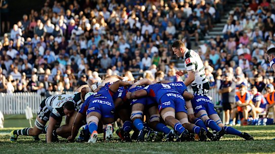 Manly in action against Warringah in last year's Shute Shield. 