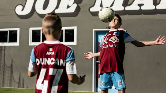 Grounded: APIA Leichhardt juniors won't be allowed to head the ball due to concussion fears. 