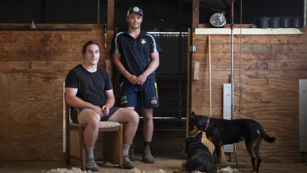 Brumbies brothers ready for a farm dream to become Super Rugby reality