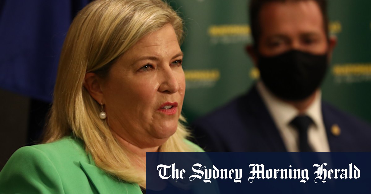 NSW election 2023: Regional health minister may not exist after election - Vimarsana News