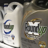 Sydney councils move to ban Roundup weedkiller over cancer fears