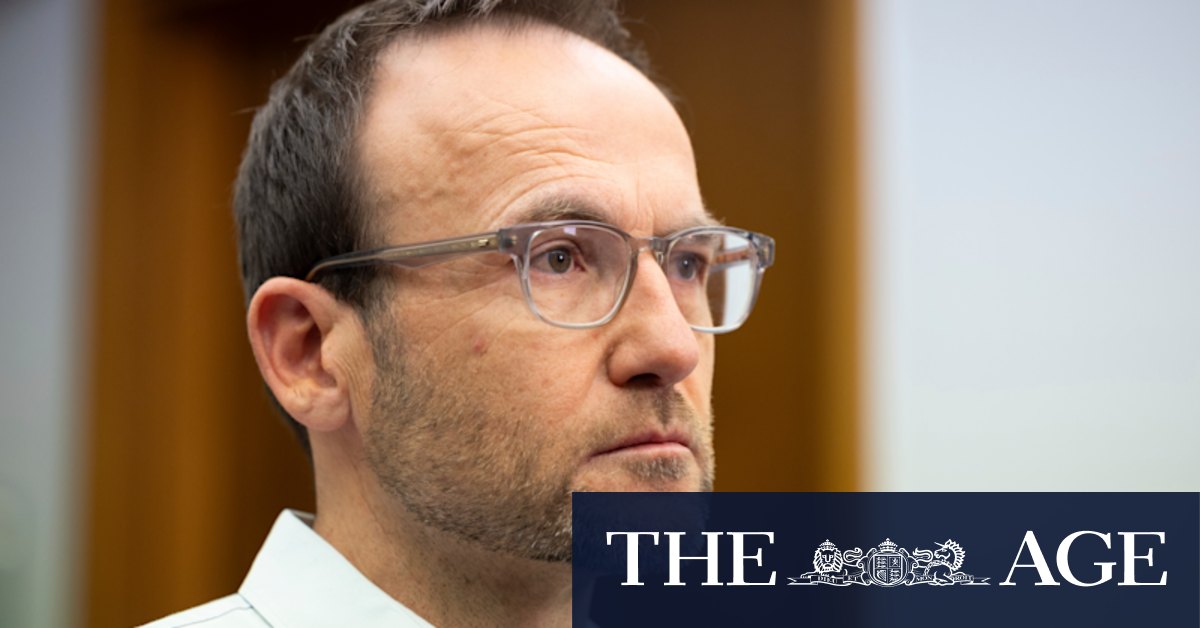 Voice referendum: Greens leader Adam Bandt urges Yes, Blak Greens say No, others stay silent - Vimarsana News