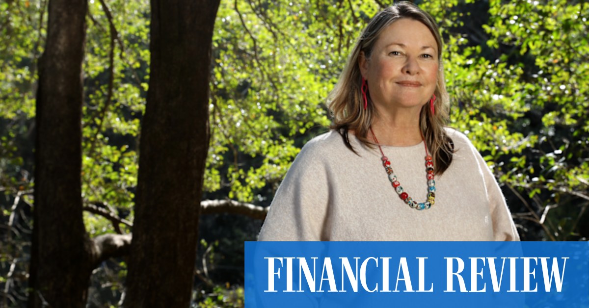 Jim Chalmers is 'troubled' by the plight of women like Jane - Vimarsana News