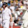 Nathan Lyon celebrates bowling Harry Brook.