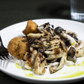 Crumbed lion’s mane schnitzel.