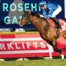 Race-by-race tips and preview for Rosehill on Wednesday