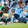 Sydney FC to face Wellington in A-League return that could include crowds