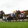 Race-by-race preview and tips for Warwick Farm on Monday