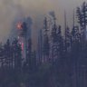 Smoke rises from a fire that started after the medical plane crashed in a mountainous area outside Ruidoso, New Mexico on May 14.