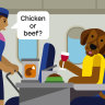 Pets on planes could be a new issue for Australians to deal with. 