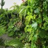 Small space, big dreams: How to make the most of a tiny backyard