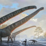 It’s not a stretch: This dinosaur had a 15-metre-long neck