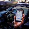 Ride-share drivers are not required to have working with children checks.