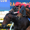 New training partnership times it nicely with Schwarz