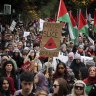 ‘A slice of resistance’: Thousands attend final 2023 pro-Palestinian rally