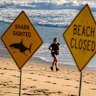 Beaches from Manly to Palm Beach remain closed on the northern beaches.
